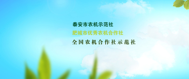 肥城市地龙农业机械专业合作社
