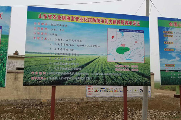 图片预览