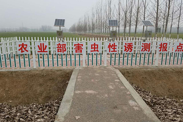 图片预览