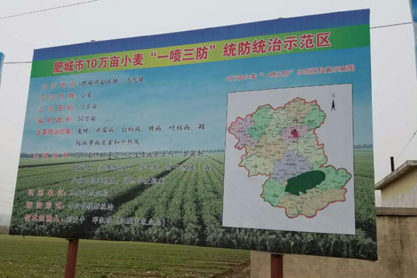 图片预览