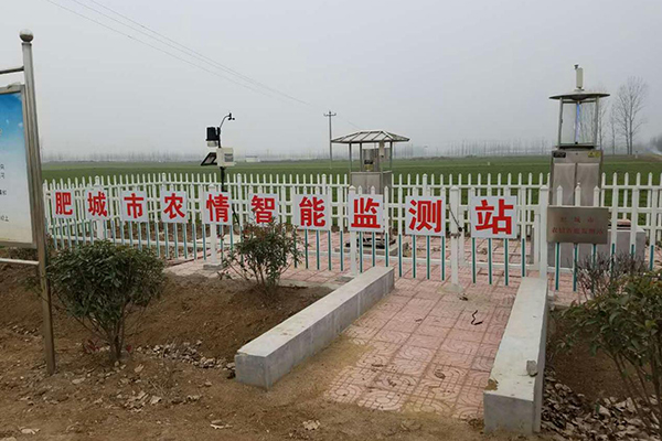 图片预览