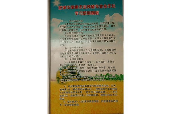 图片预览