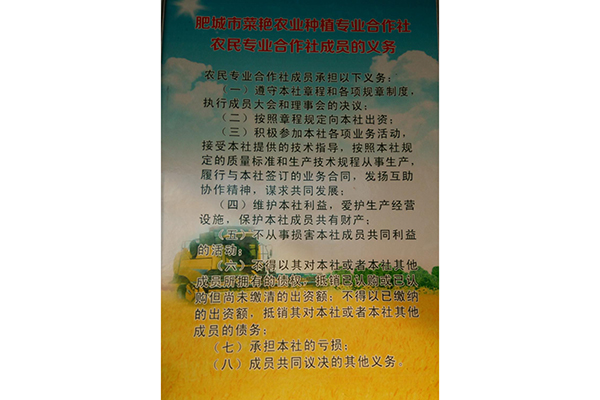 图片预览