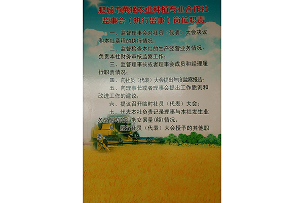 图片预览