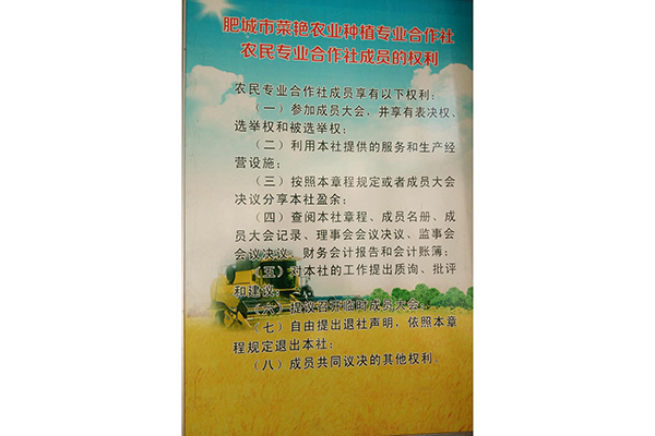 图片预览